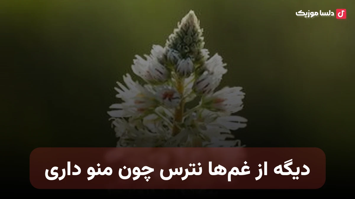 دیگه از غم‌ها نترس چون منو داری نسخه کامل احمد سولو